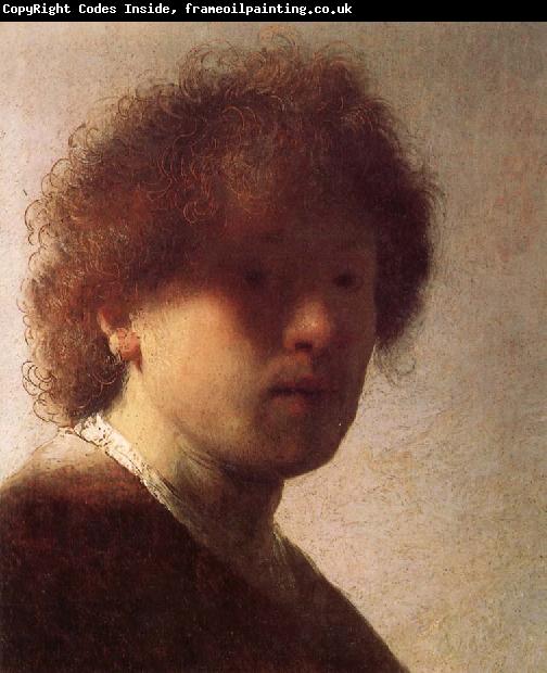 Rembrandt van rijn The eyes-fount of fascination and taboo
